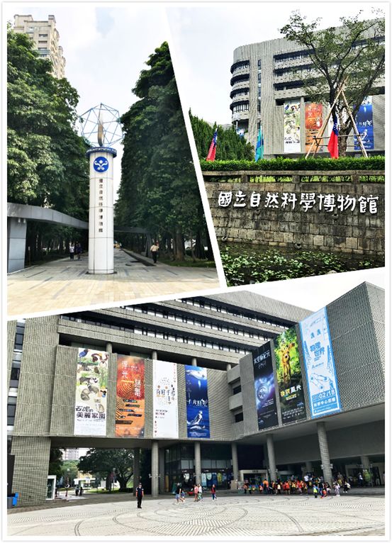 太有幸福感了！周杰伦同款奶茶喝到撑！攻略在此，拿走不谢