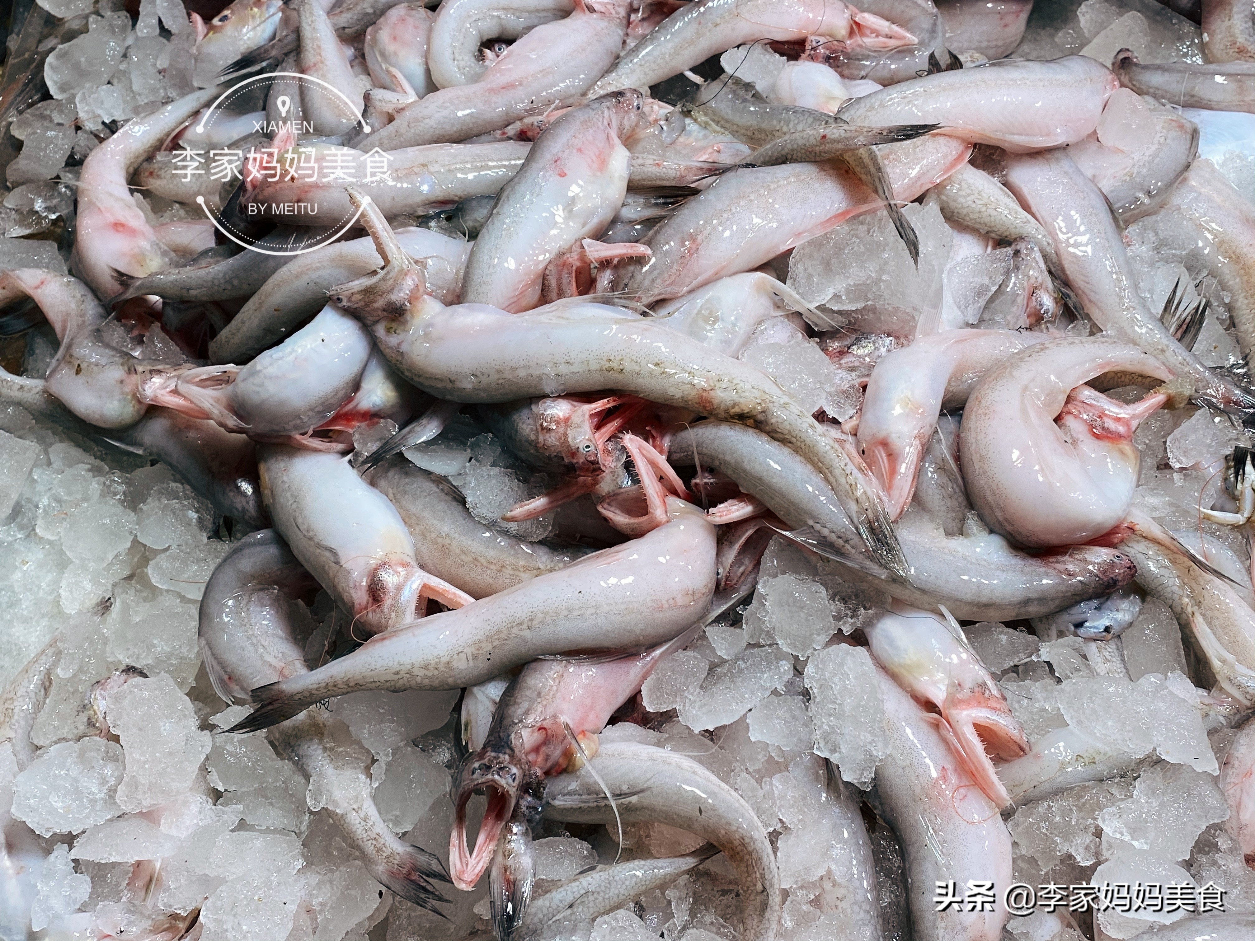 哪种鱼鱼刺少便宜,常见鱼刺少又好吃最便宜