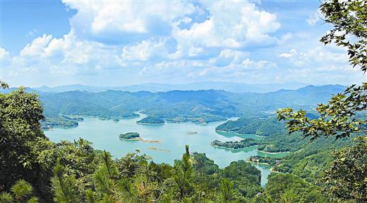 梧州市万秀区齐头并进多举措奋力攻坚清家底