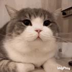 淘宝上月销上万的单品还能去做吗,淘宝上月销过万的产品是真的吗