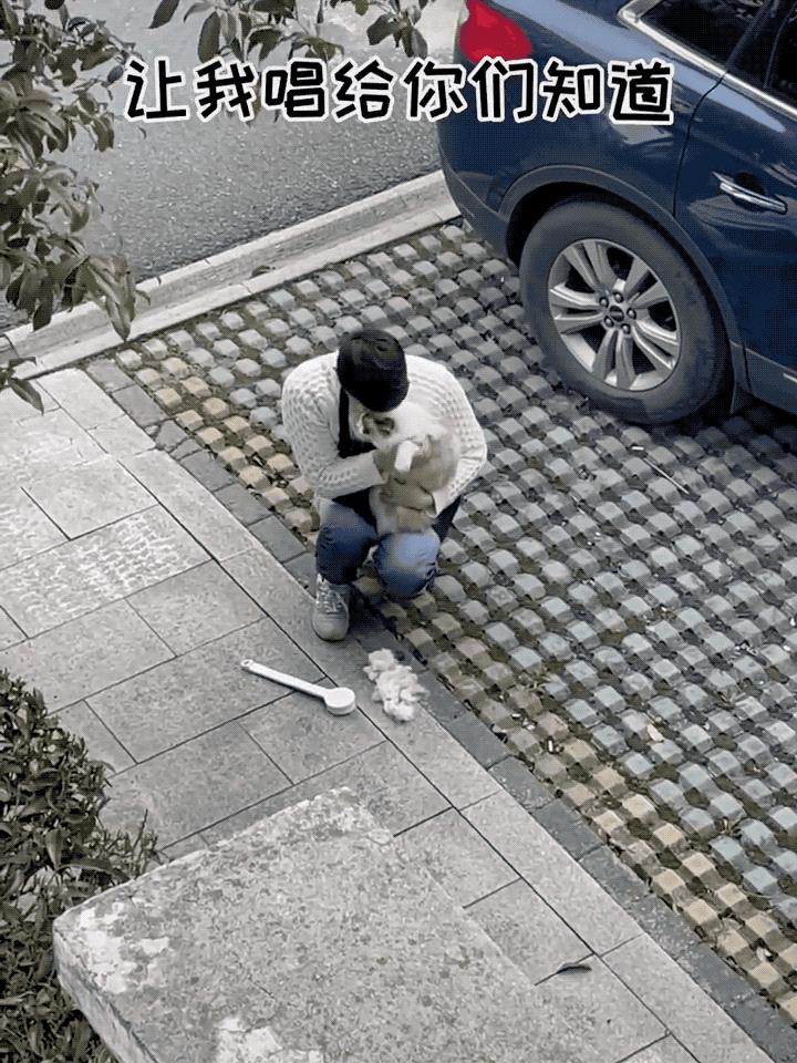 网友晒出5颗巨型毛球，救命！我快要窒息了