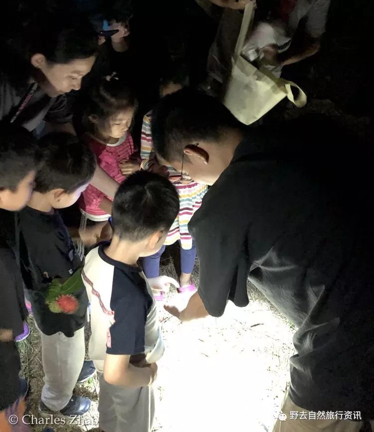 希望疫情早点结束能陪孩子多走走,待疫情彻底过去