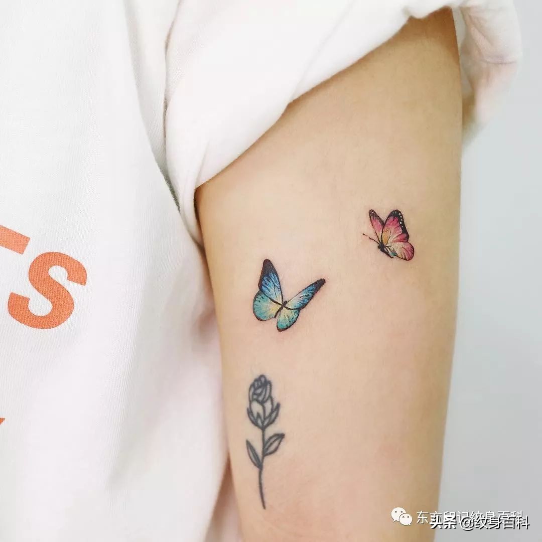 蝴蝶纹身图案代表什么,代表自由的蝴蝶纹身