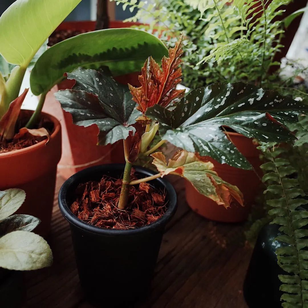 在闲鱼上怎么找认识的人,闲鱼上找男朋友