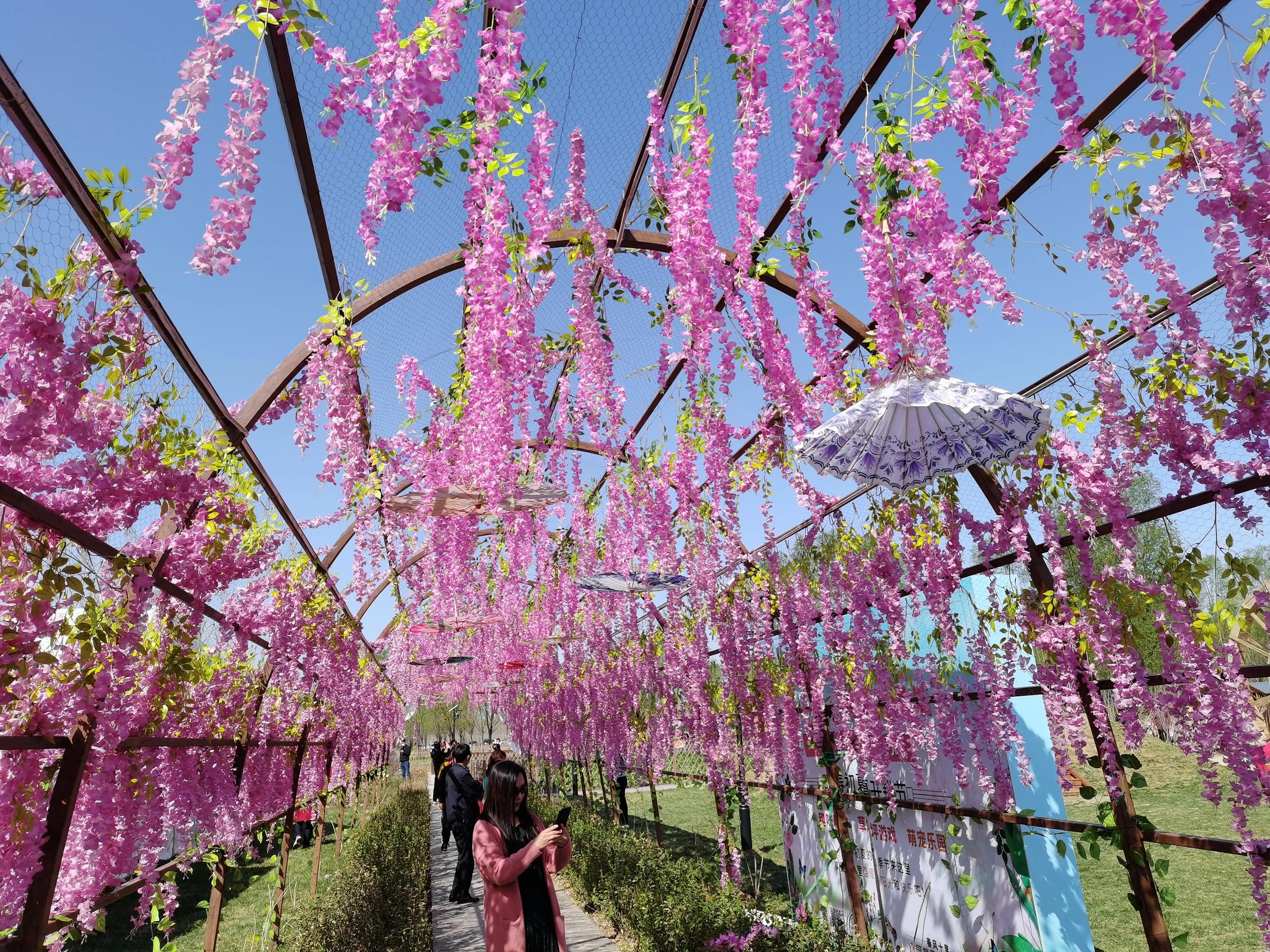 丰南半亩方塘景区,唐山丰南半亩方塘怎么样