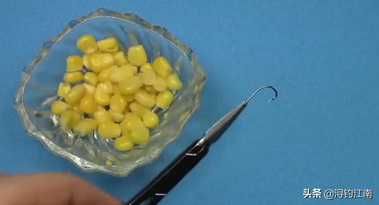 冬季钓大鱼用玉米可以吗,冬季钓大鱼用玉米好吗