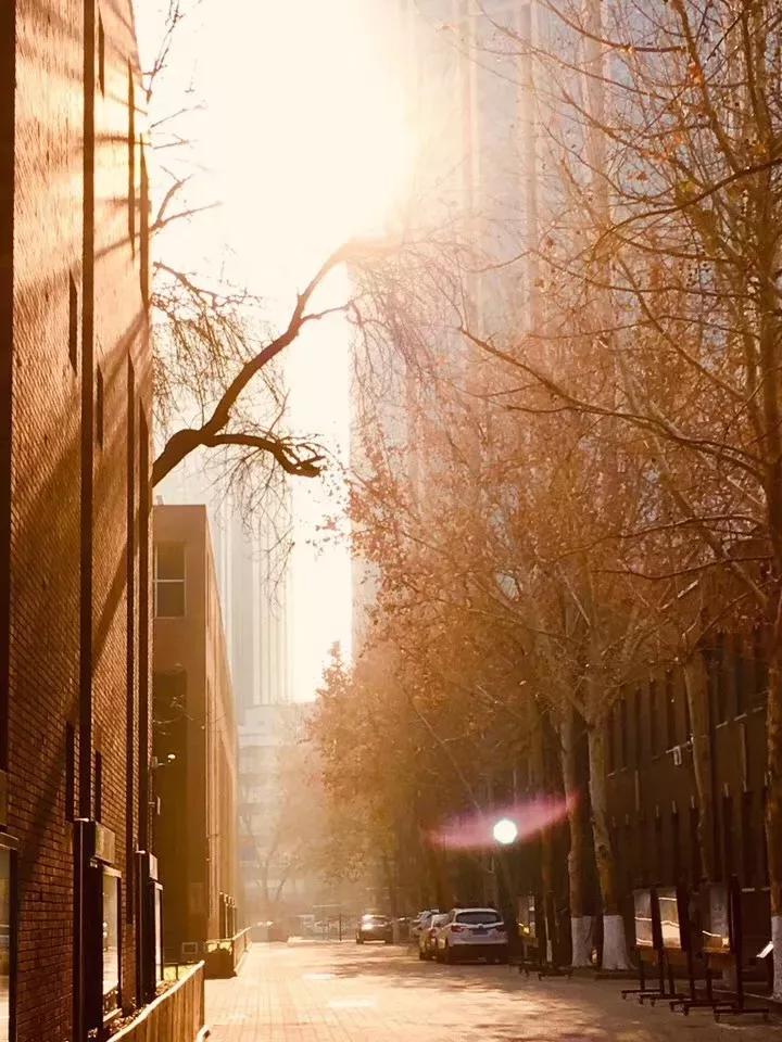 天津市耀华中学冯耀忠,天津市耀华中学招聘