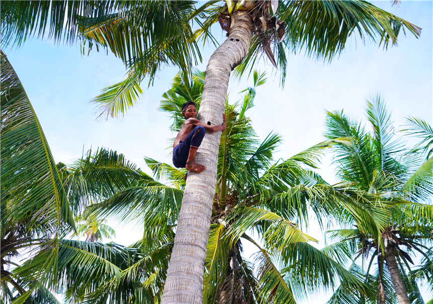 马来西亚巴瑶族纪录片,马来西亚巴瑶族最新消息