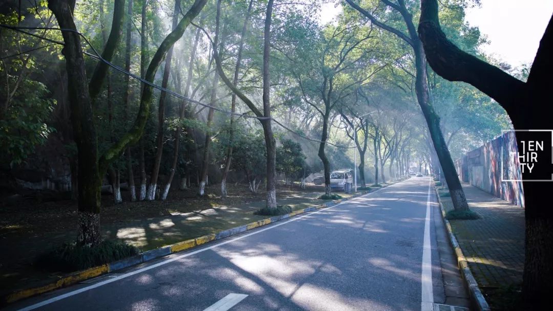 武汉公园免费景点推荐,武汉免费看花景点