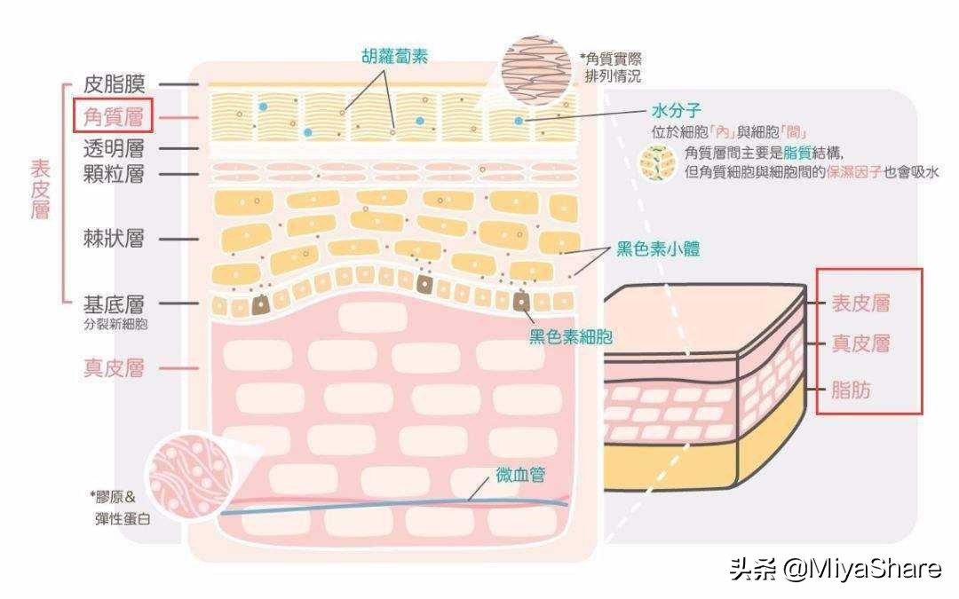 卸妆油推荐3ce,卸妆油推荐测评mac