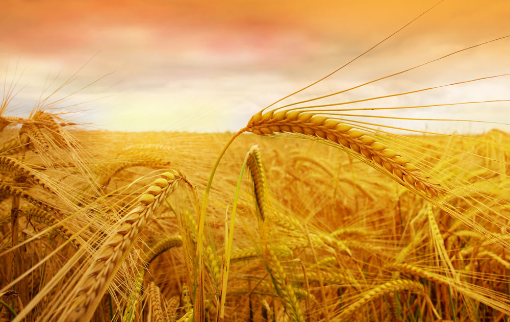 单反相机摄影技巧及讲解,佳能单反相机入门教程5d2摄影教程