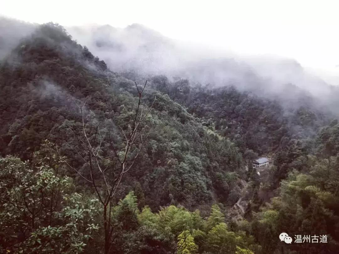 温州楠溪江好的主题民宿排名,楠溪江醉香楼客栈