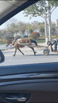 生物老师是女的,生物老师是个女的