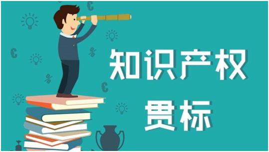 智汇说｜知识产权贯标竟能获得50万