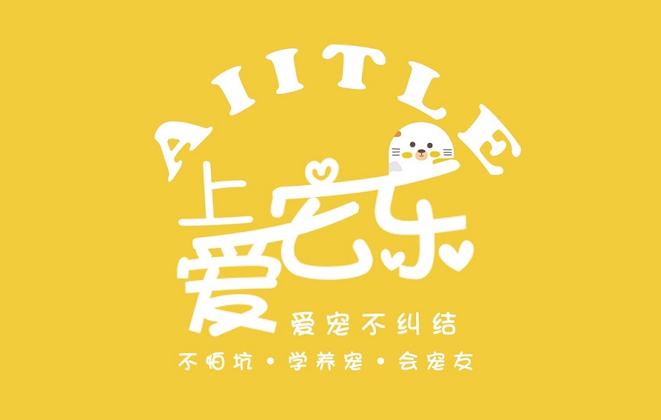 小奶猫特别粘人怎么办啊,英短不粘人怎么办