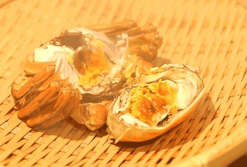 中国动物死亡事件,全国每年有多少动物死亡