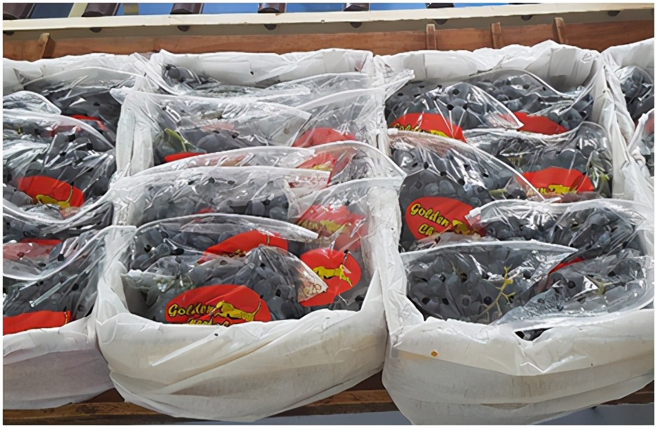 提子品种和介绍 (提子的品种都有哪些)