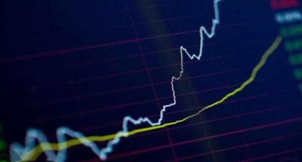 厦门钨业未来成长性如何,厦门钨业股东被监管警示