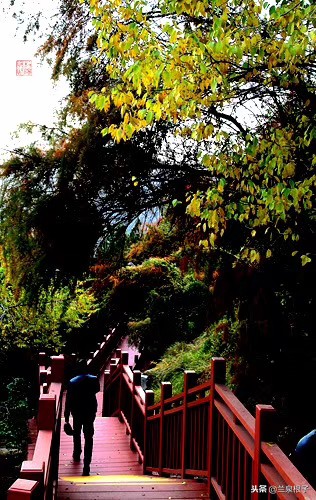 兰州看风景的观景台在哪里,兰州景区观景台