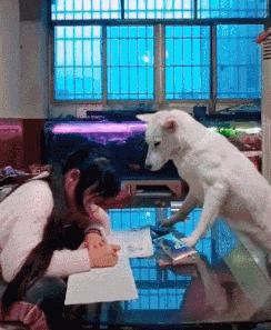 有这样的班主任你还敢逃学吗,有这样一个班主任