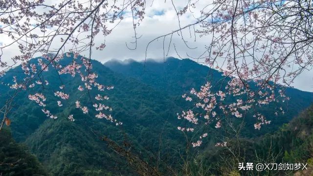 歙旌古道徒步回起点,上海徽杭古道徒步攻略