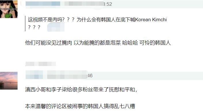 李子柒被韩国网友*攻围**，中国博主联手回击，发布酸菜视频标题显眼