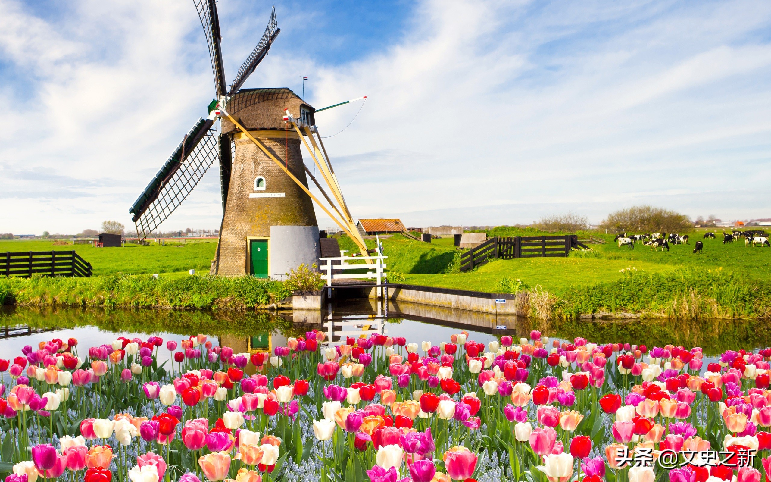 荷兰宣布性合法后遗症,荷兰交易合法引发的问题