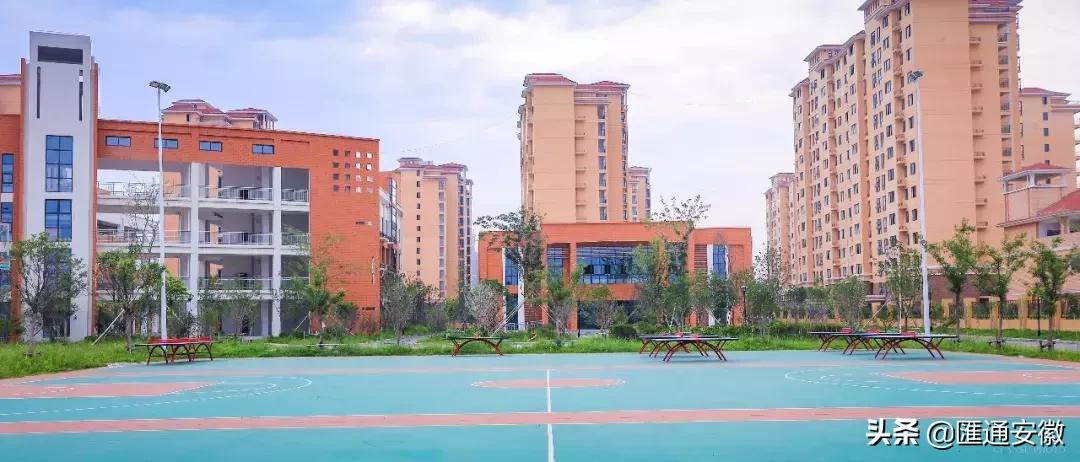 东坡区新增2所小学,颍州区学校最新消息