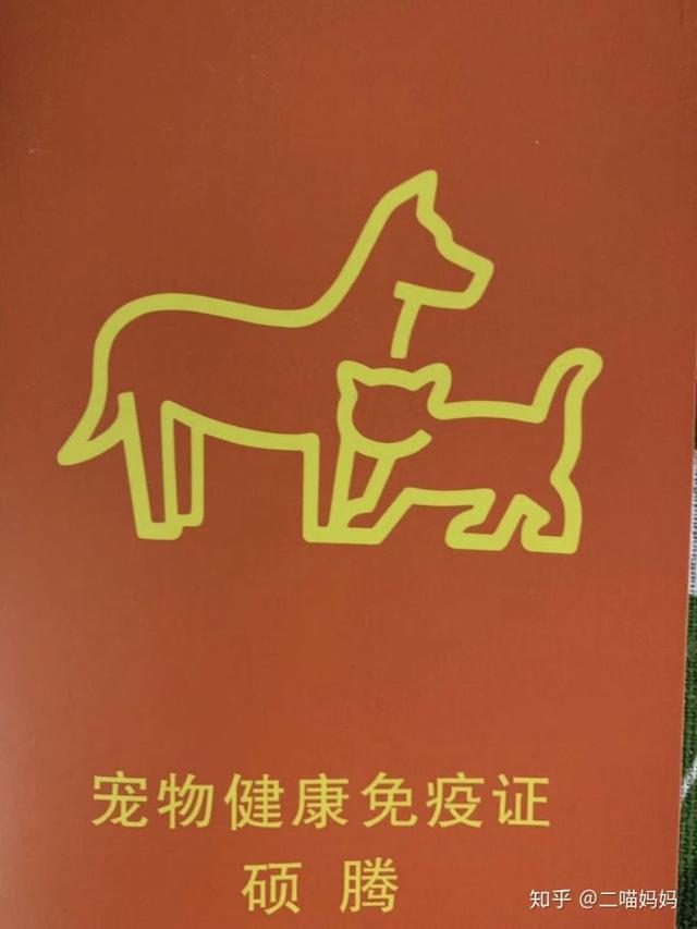 新手铲屎官去宠物店需要注意什么,新手铲屎官的真实故事