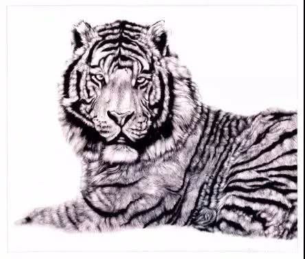 国画学不会怎么办,国画不知道怎么练习