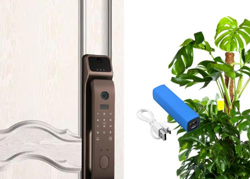 指纹密码锁有电打不开,按了指纹之后显示要密码