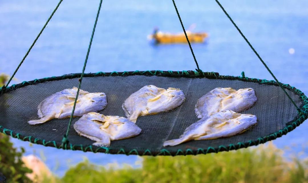 国内最适合一个人旅行的20个地方,一个人自驾旅行累了想回家