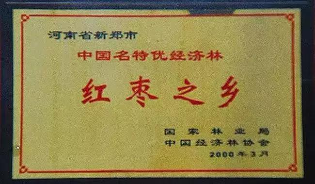 新郑好看视频,新郑怎么样