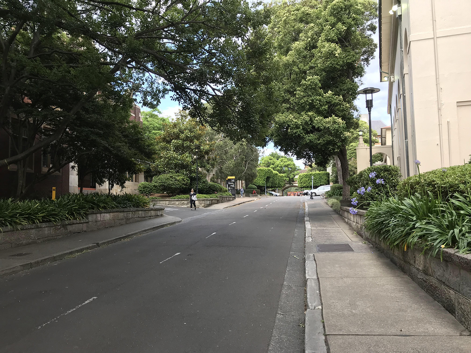 悉尼大学绩点标准,悉尼大学绩点要求