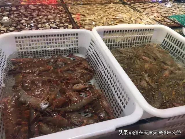 开海了怎么选海鲜,开海了囤点什么海鲜合适