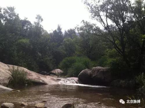 北京国家森林公园风景,画说北京故事