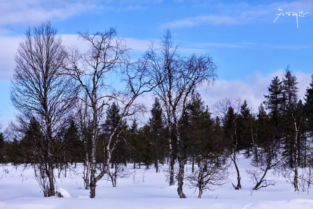 光遇欧若拉季新渴望的东西是什么,欧若拉最渴望的时候