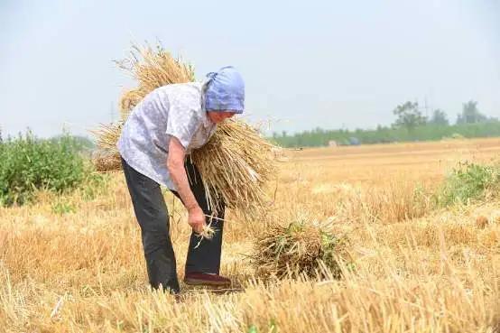 关于安全文明的快板,安全文明快板推荐