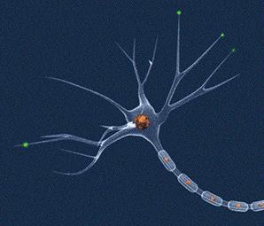笑能笑出法令纹吗,笑得太多了就有法令纹吗