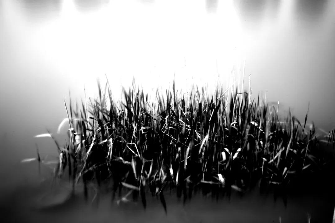 津门网金熙男:宁静的太子河