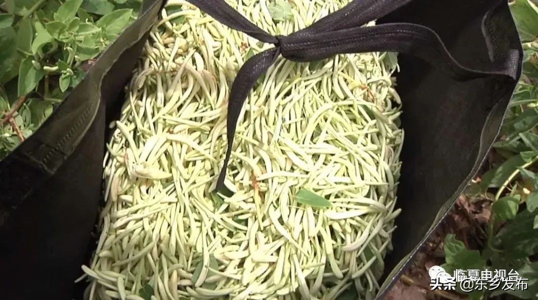 鑴辫传鏀诲潥鍙栧緱鍏ㄩ潰鑳滃埄澶鏂伴椈,涓滀埂鍘挎渶鏂扮殑鏂伴椈鑱旀挱