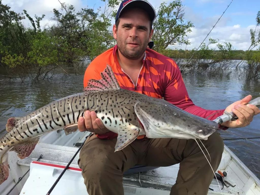 世界十大凶猛淡水鱼类,顶级淡水鱼类