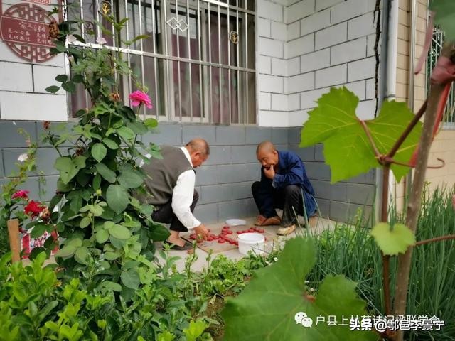 诗画鄠邑摄影大赛,鄠邑区诗画