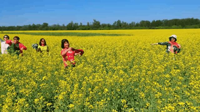 五一假期闺蜜去大兴安岭穷游,闺蜜自驾大草原