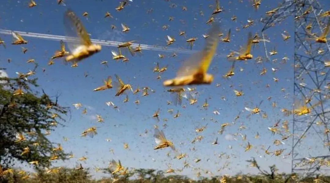 台风烟花过后留下惊人的一幕,台风烟花结局