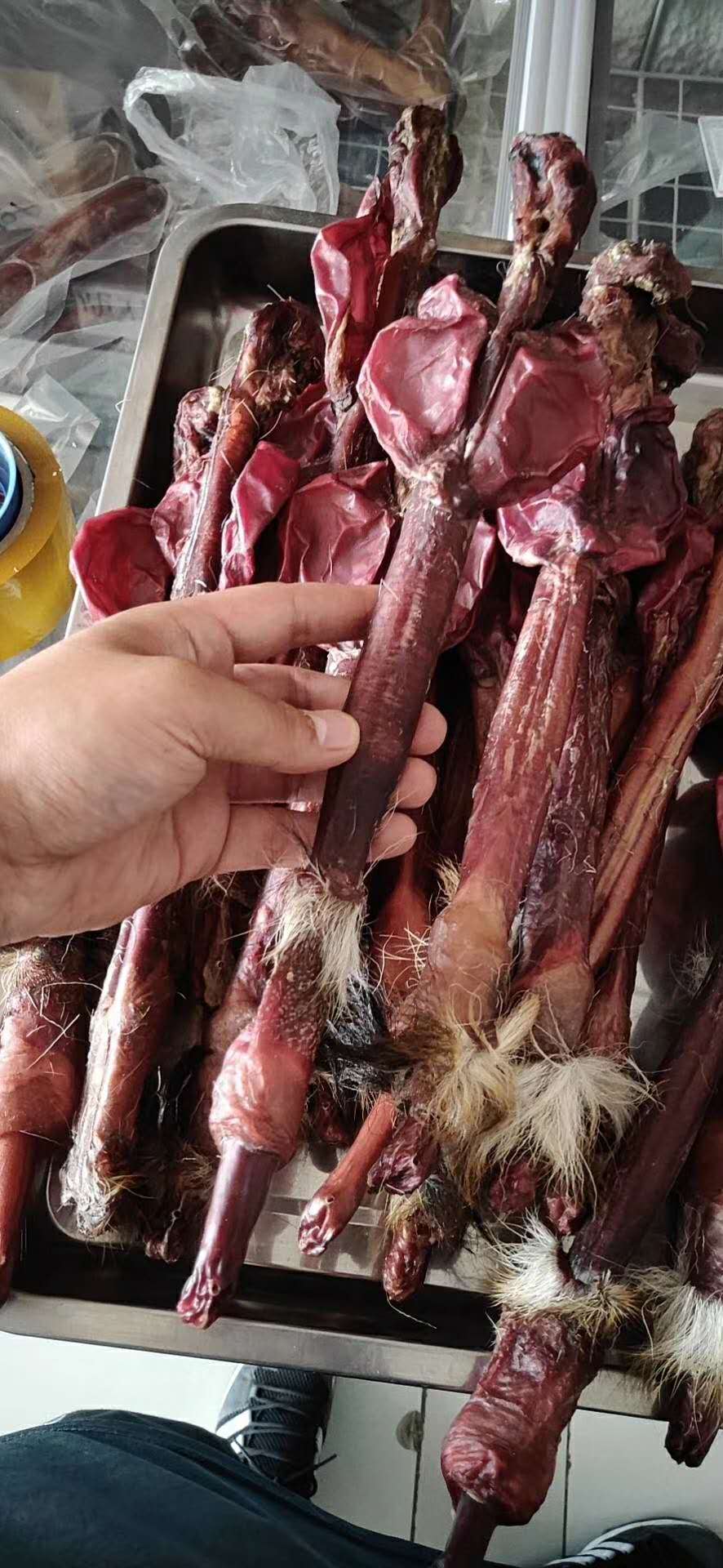 揭秘！!不要再浪费你的鹿鞭了！原来这样才能真正发挥它的效果