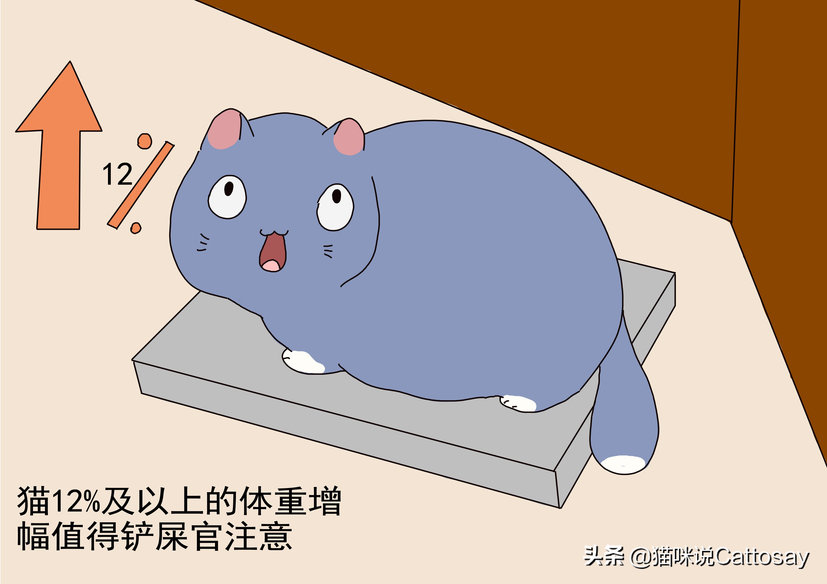 胖猫减肥最有效的方法,胖猫减肥励志视频