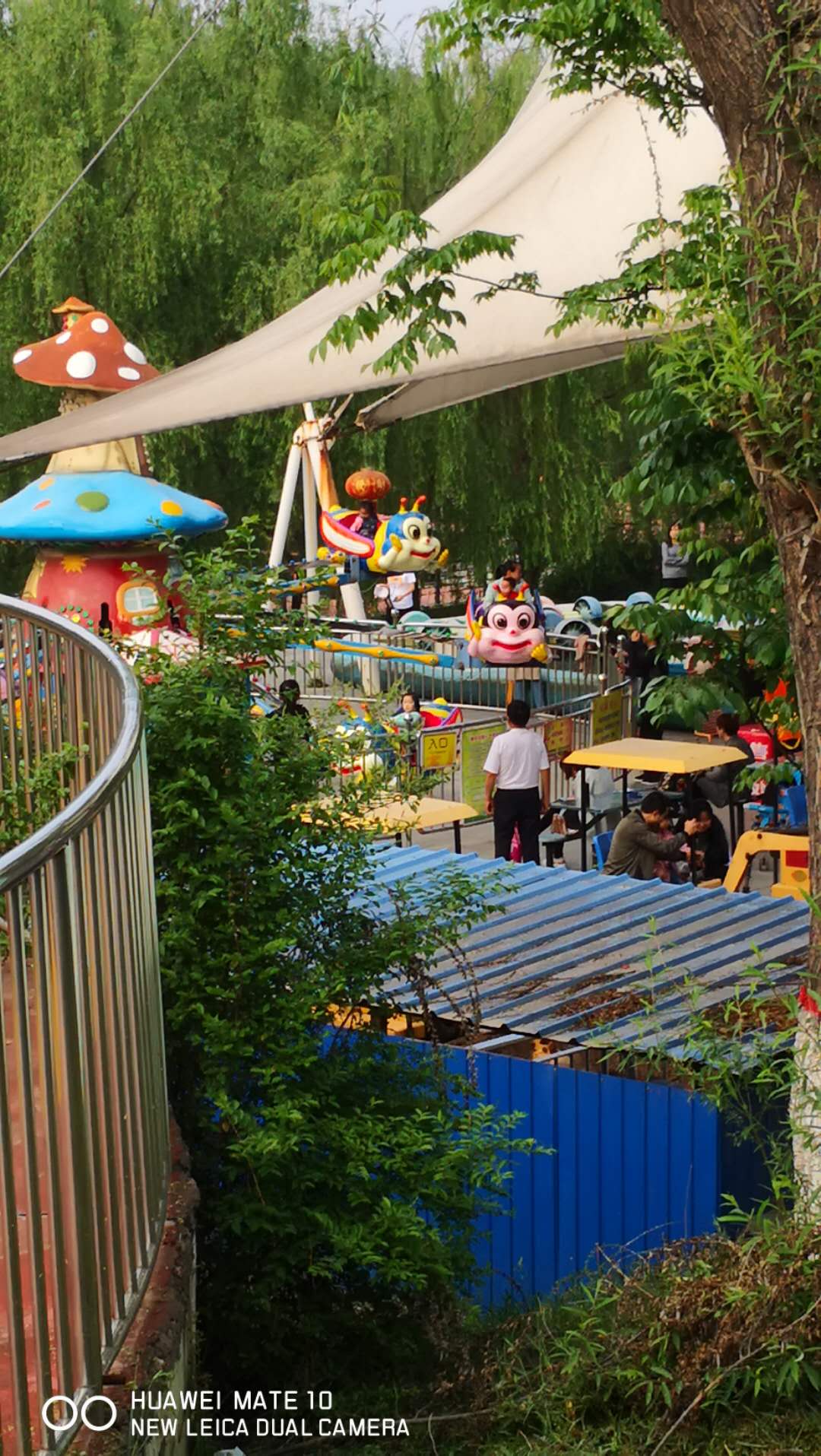 一天去哪玩西安,免费西安一日游的绝佳去处