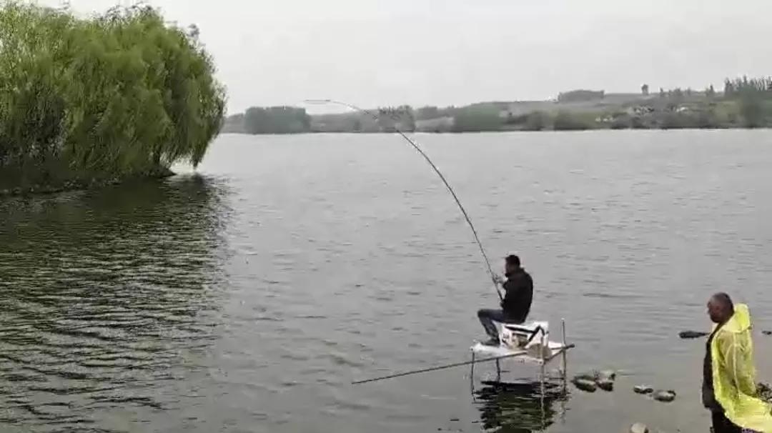 1.0子线遛十斤大鲤鱼,野钓10斤鲤鱼遛鱼技巧