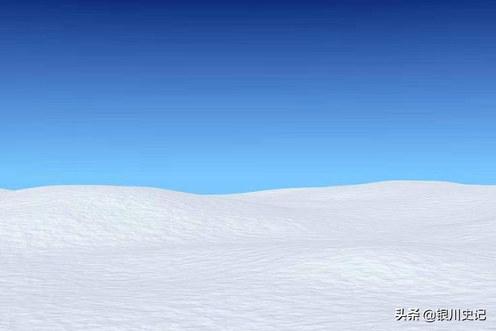 本草纲目新出了些什么,本草纲目新传